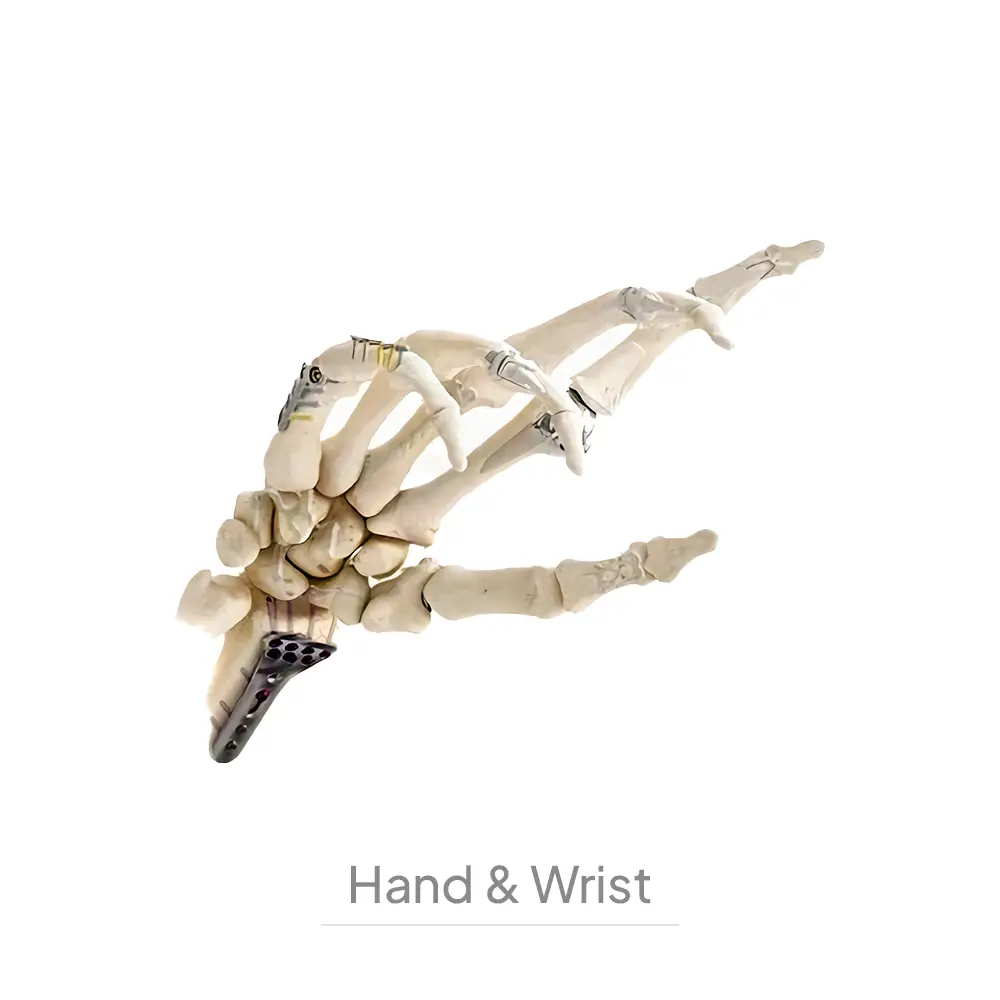Hand&Wrist-001